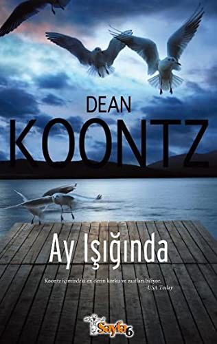 Ay Işığında kitap kapağı
