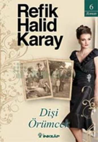 Dişi Örümcek kitap kapağı
