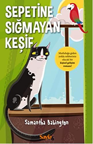 Sepetine Sığmayan Keşif kitap kapağı