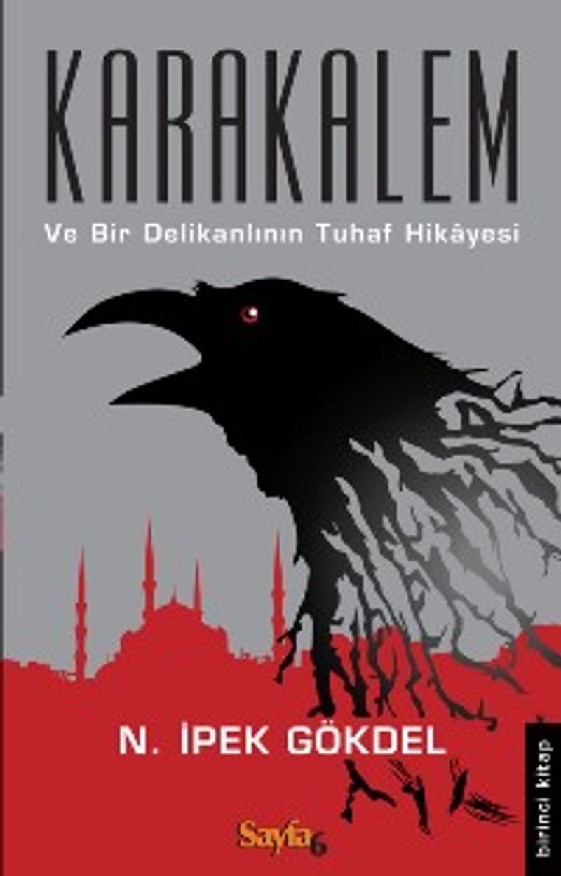 Karakalem ve Bir Delikanlının Tuhaf Hikayesi kitap kapağı