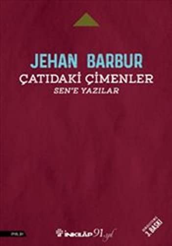 Çatıdaki Çimenler & Sen’e Yazılar kitap kapağı
