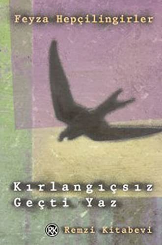 Kırlangıçsız Geçti Yaz kitap kapağı