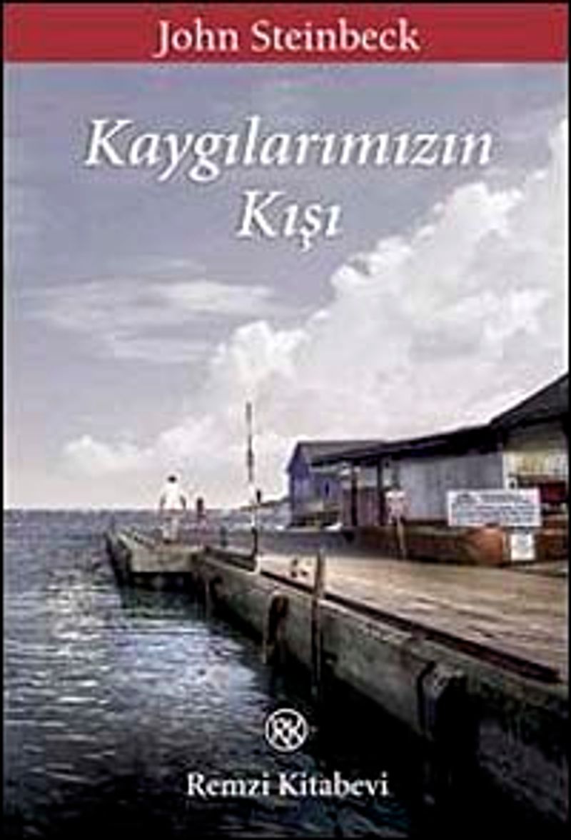 Kaygılarımızın Kışı kitap kapağı
