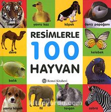 Resimlerle 100 Hayvan (Küçük Boy) kitap kapağı