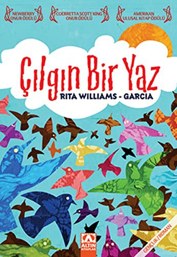 Çılgın Bir Yaz kitap kapağı