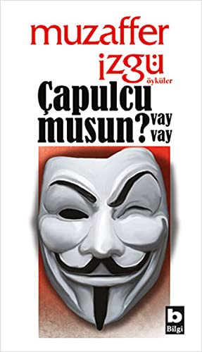Çapulcu musun? Vay vay kitap kapağı