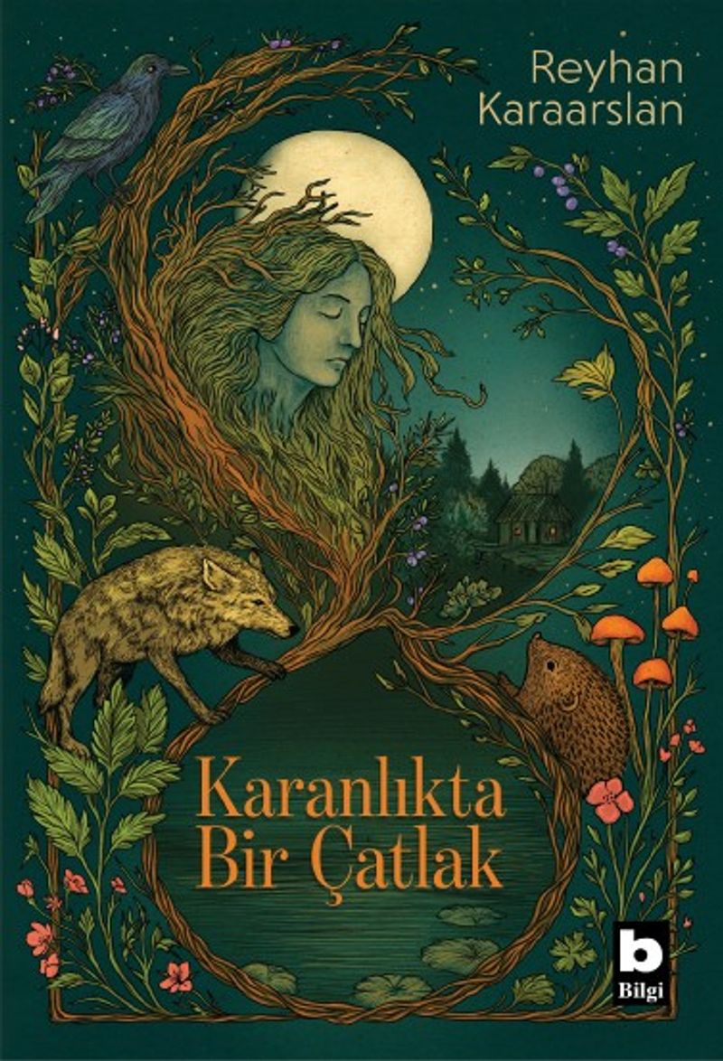 Karanlıkta Bir Çatlak kitap kapağı