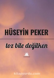 Toz Bile Değilken kitap kapağı