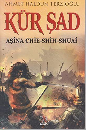 Kür Şad & Aşina Chie-Shih-Shuai kitap kapağı