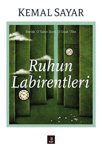 Ruhun Labirentleri kitap kapağı