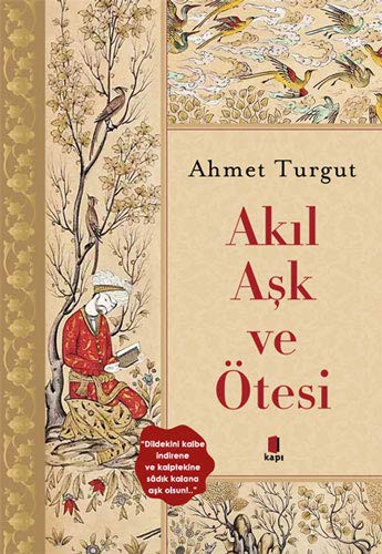 Akıl Aşk ve Ötesi kitap kapağı
