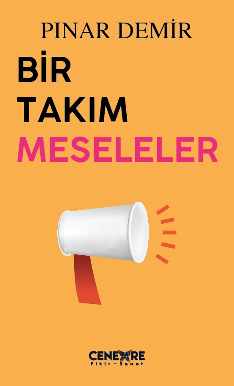 Bir Takım Meseleler kitap kapağı