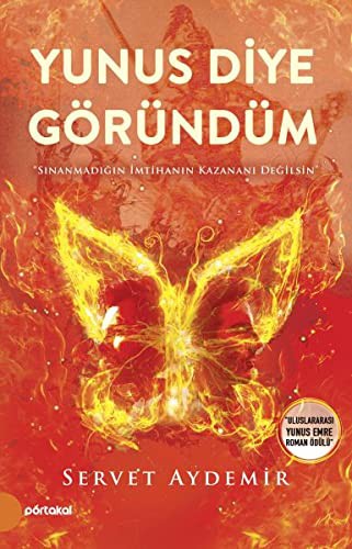 Yunus Diye Göründüm kitap kapağı