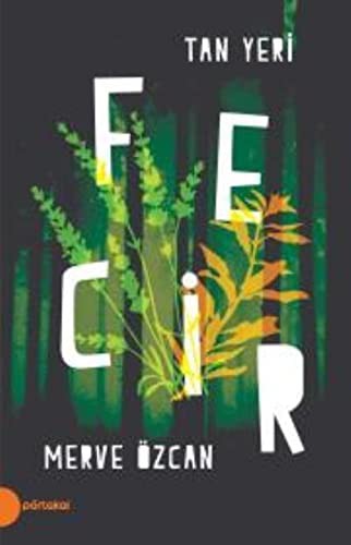 Tan Yeri 2 / Fecir kitap kapağı