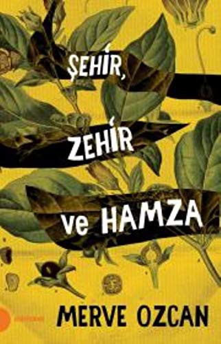 Şehir Zehir ve Hamza kitap kapağı