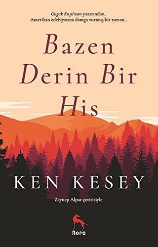 Bazen Derin Bir His kitap kapağı