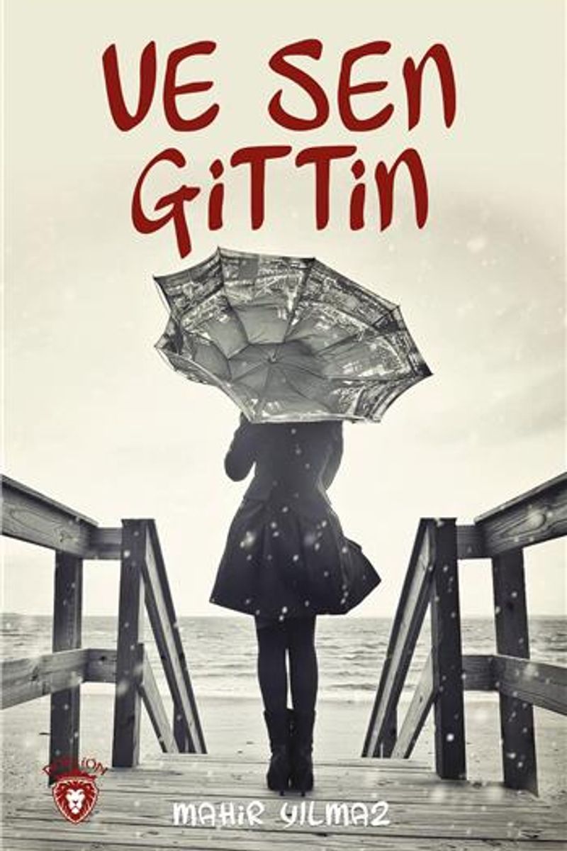 Ve Sen Gittin kitap kapağı