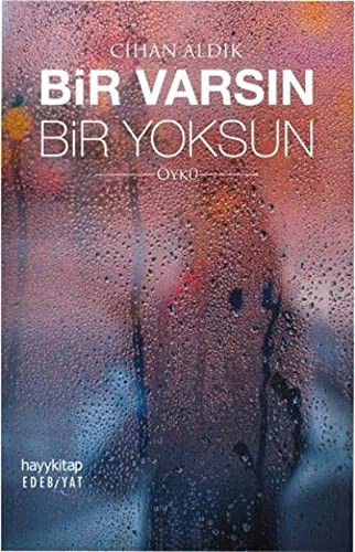 Bir Varsın Bir Yoksun kitap kapağı
