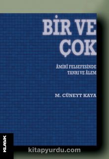 Bir ve Çok & Amiri Felsefesinde Tanrı ve Alem kitap kapağı