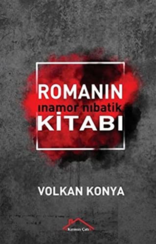 Kitabın Romanı kitap kapağı