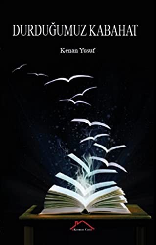 Durduğumuz Kabahat kitap kapağı