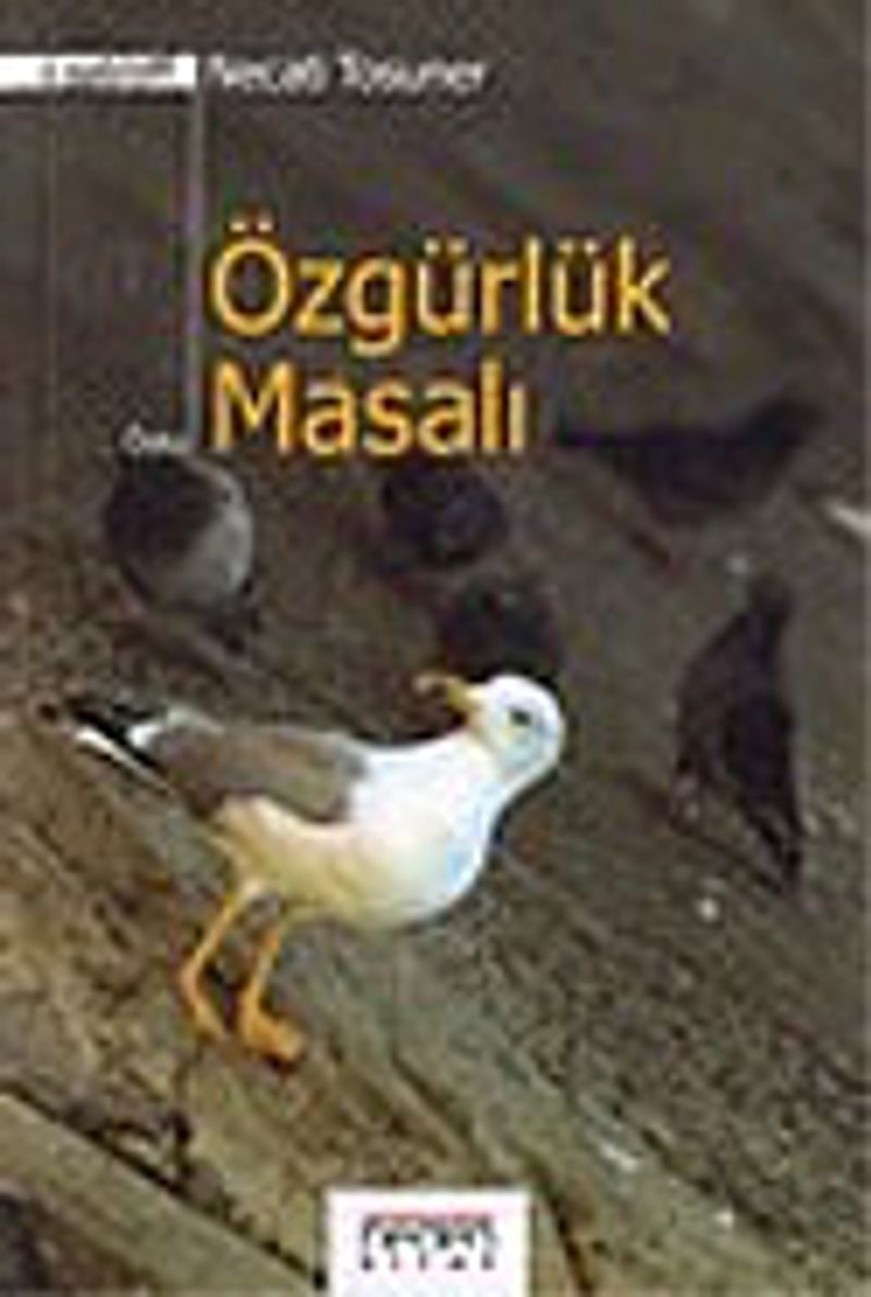 Özgürlük Masalı kitap kapağı