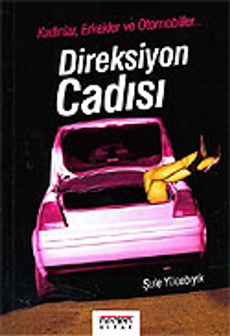 Direksiyon Cadısı kitap kapağı