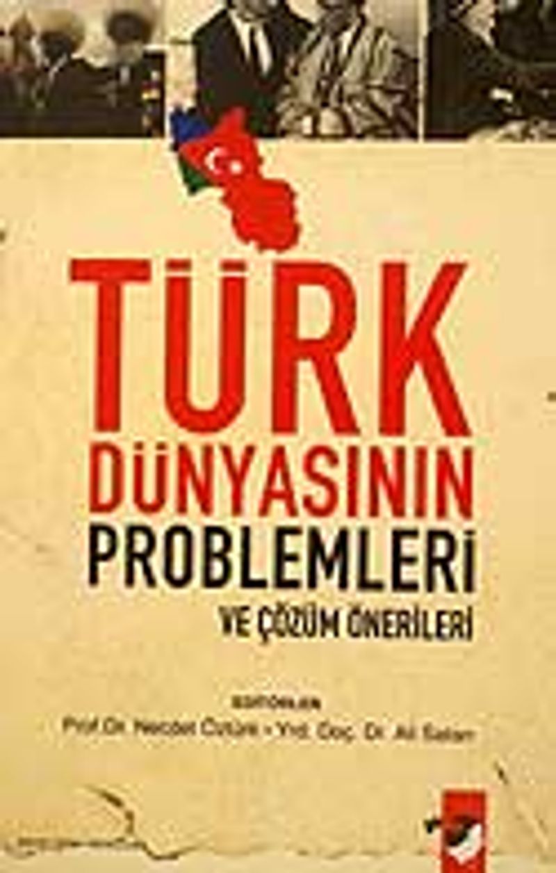 Türk Dünyasının Problemleri kitap kapağı