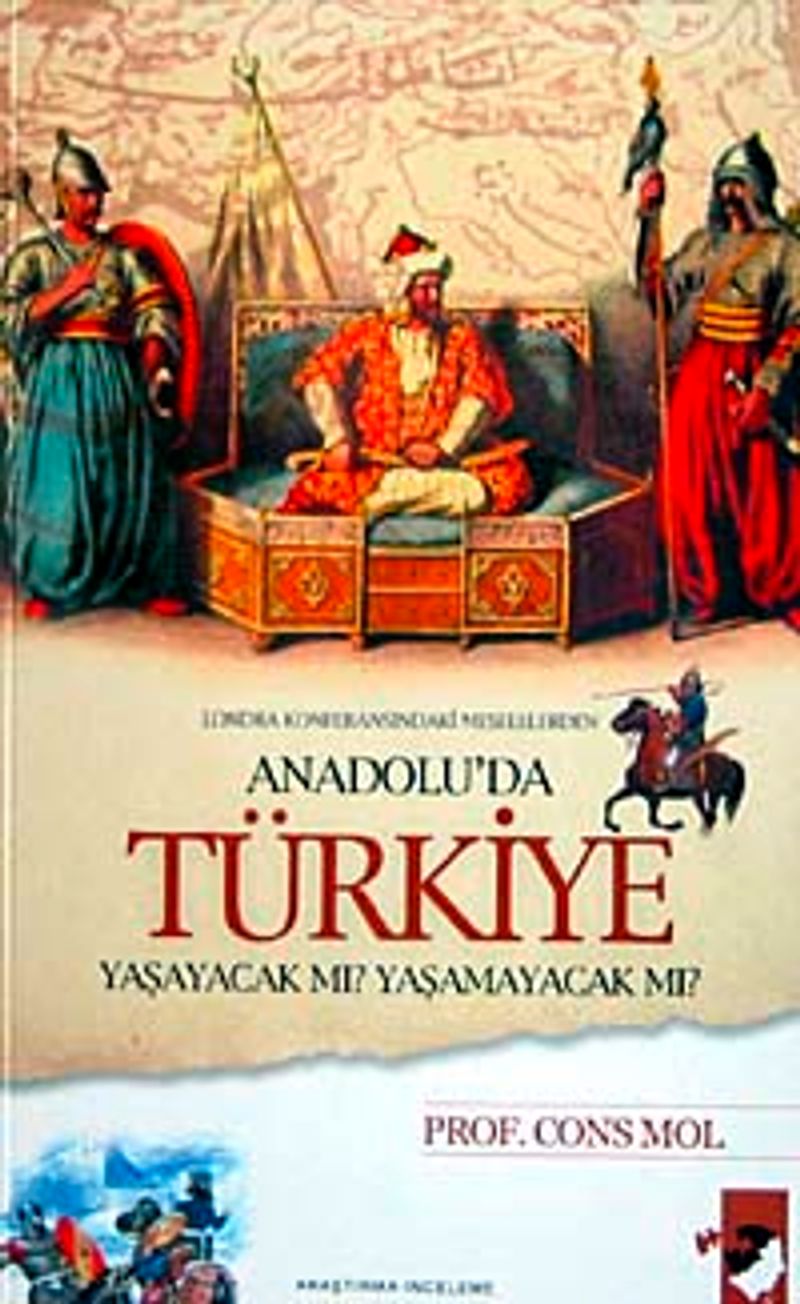 Anadolu'da Türkiye Yaşayacak Mı? Yaşamayacak Mı? kitap kapağı