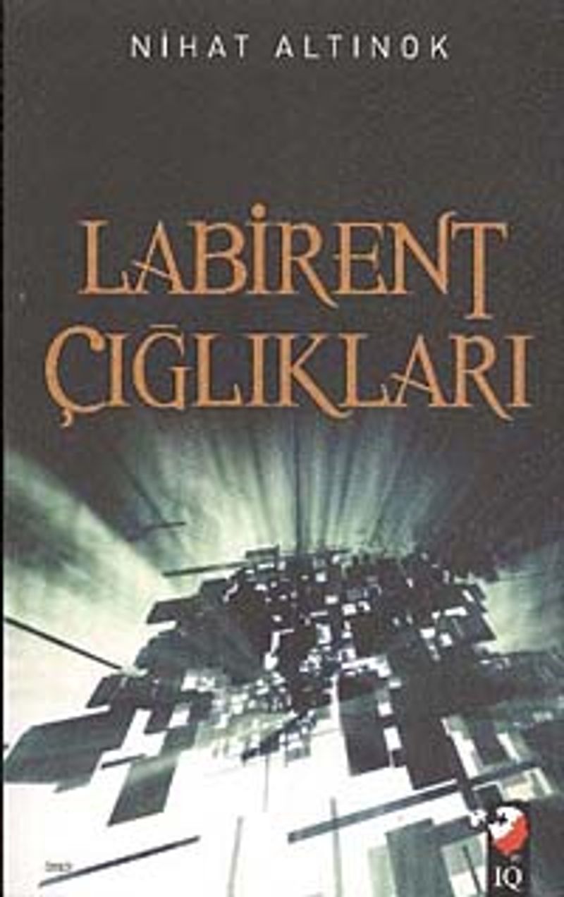 Labirent Çığlıkları kitap kapağı