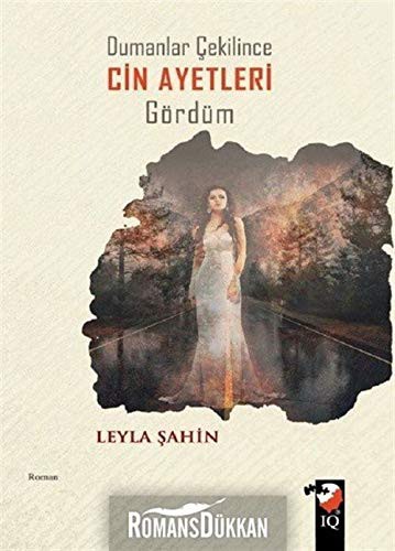 Dumanlar Çekilince Cin Ayetleri Gördüm kitap kapağı