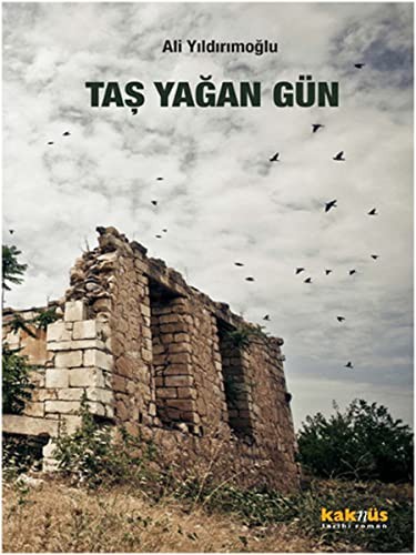 Taş Yağan Gün kitap kapağı