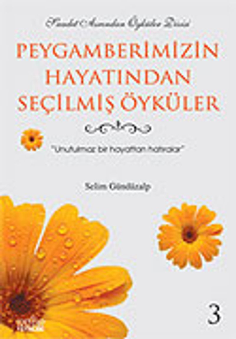 Peygamberimizin Hayatından Seçilmiş Öyküler 3 kitap kapağı