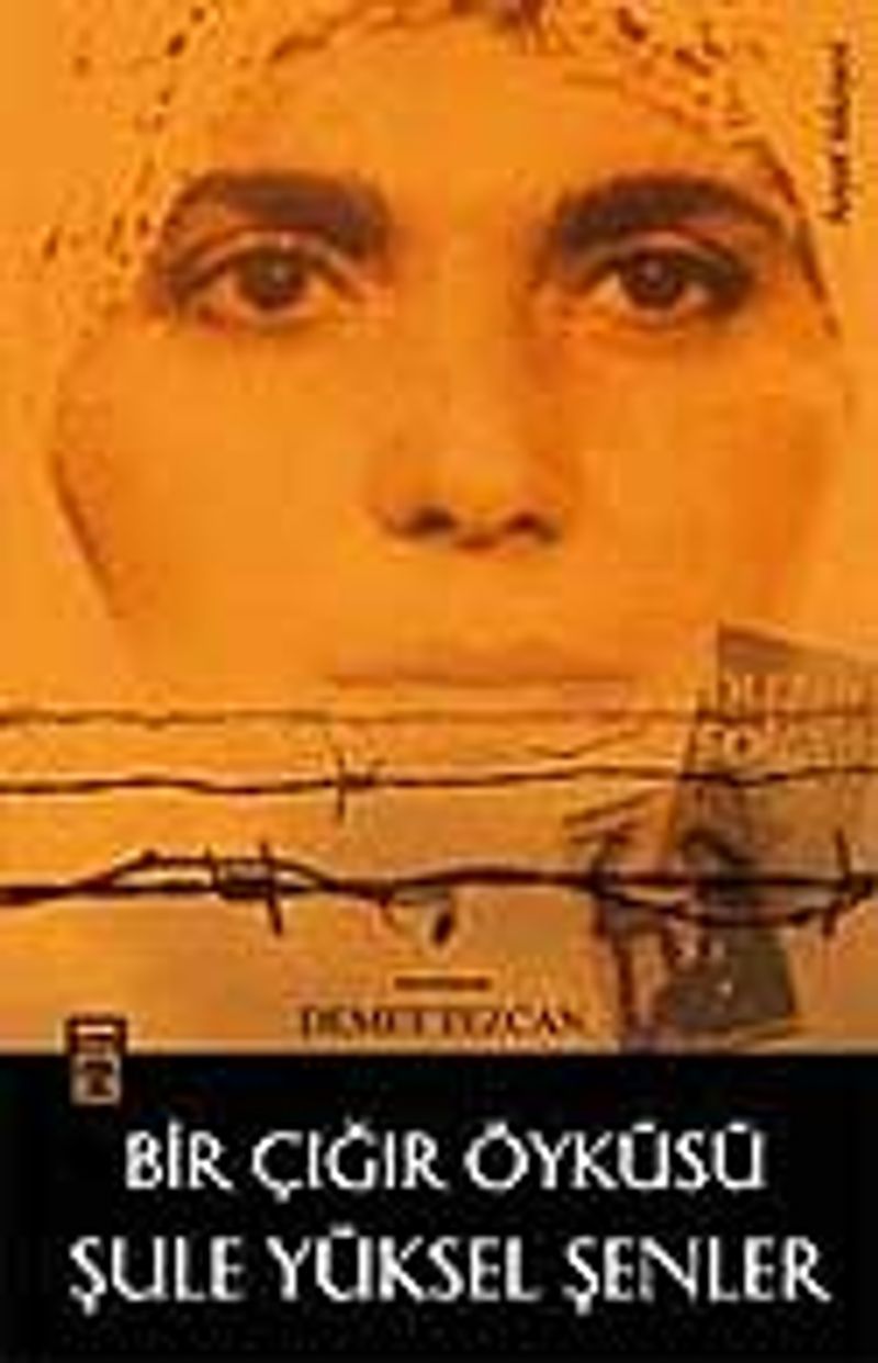 Bir Çığır Öyküsü / Şule Yüksel Şenler kitap kapağı