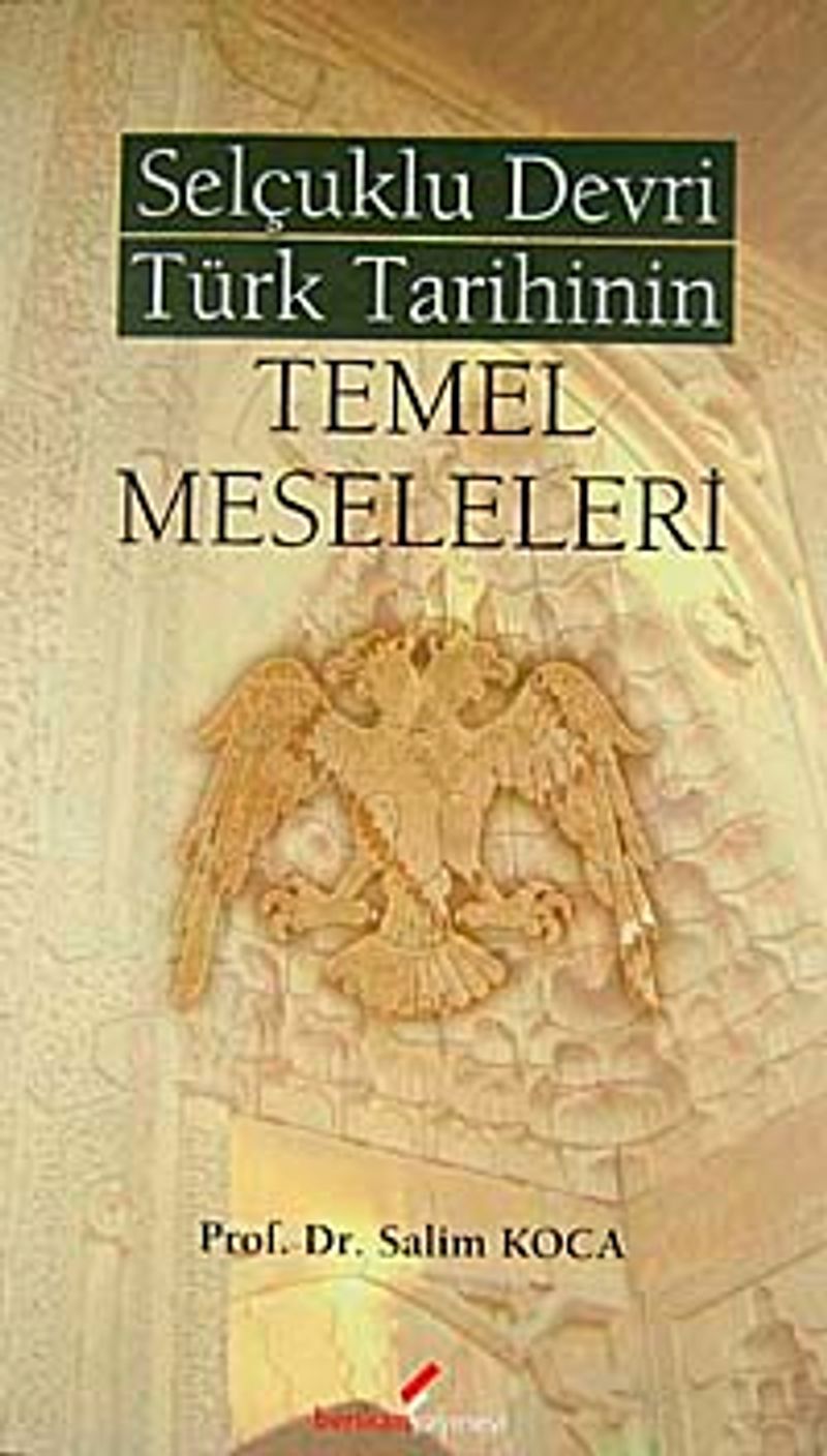 Selçuklu Devri Türk Tarihinin Temel Meseleleri kitap kapağı