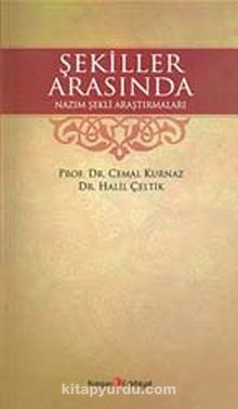 Şekiller Arasında Nazım Şekli Araştırmaları kitap kapağı