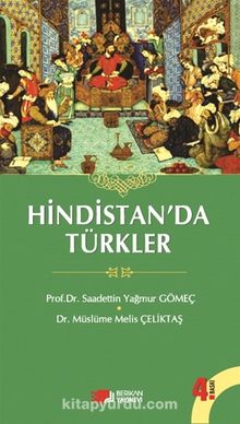 Hindistan'da Türkler kitap kapağı
