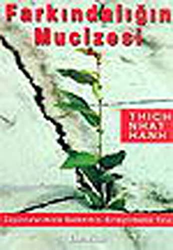 Farkındalığın Mucizesi kitap kapağı