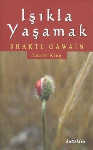 Işıkla Yaşamak kitap kapağı