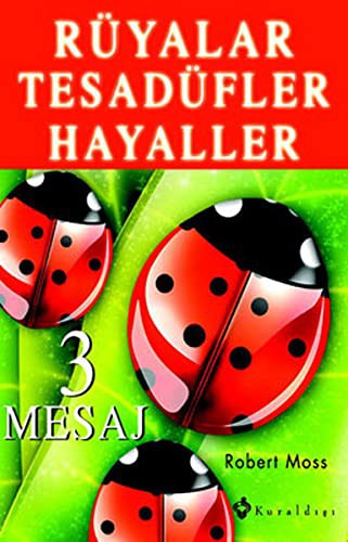 Rüyalar Tesadüfler Hayaller kitap kapağı