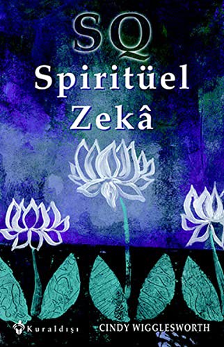 Spiritüel Zeka kitap kapağı