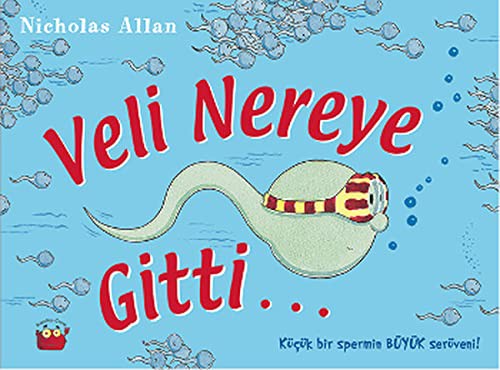 Veli Nereye Gitti... kitap kapağı
