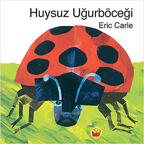 Huysuz Uğurböceği kitap kapağı