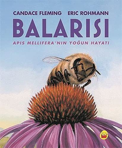 Balarısı kitap kapağı
