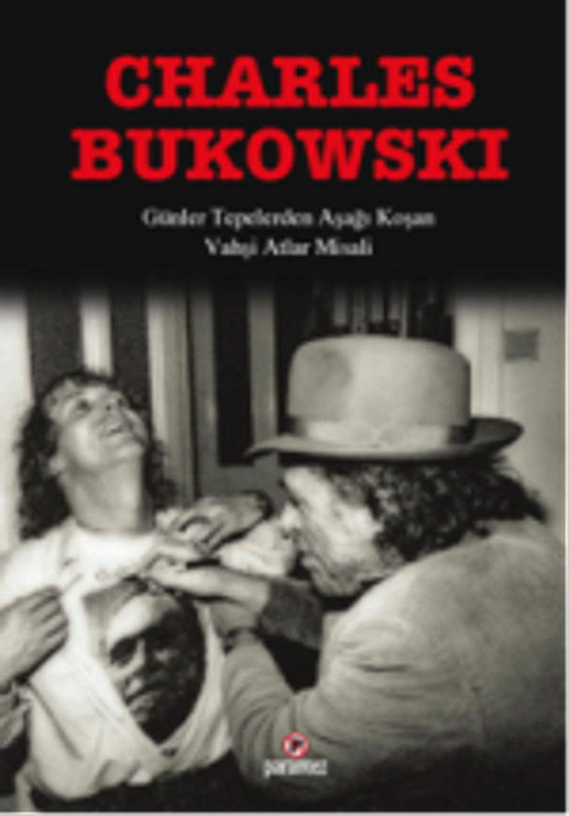 Günler Tepelerden Aşağı Koşan Vahşi Atlar Misali kitap kapağı