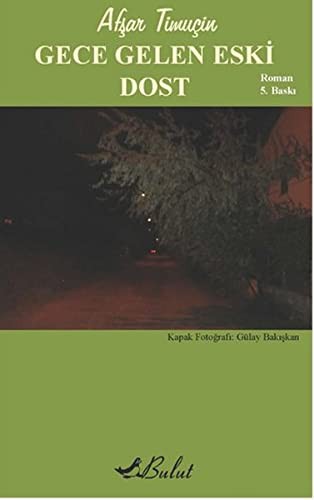 Gece Gelen Eski Dost kitap kapağı