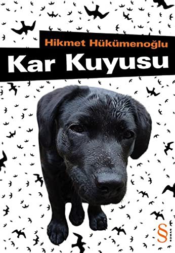 Kar Kuyusu kitap kapağı
