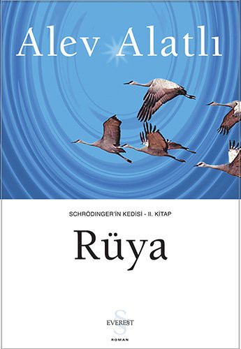 Rüya / Schrödinger'in Kedisi 2 kitap kapağı