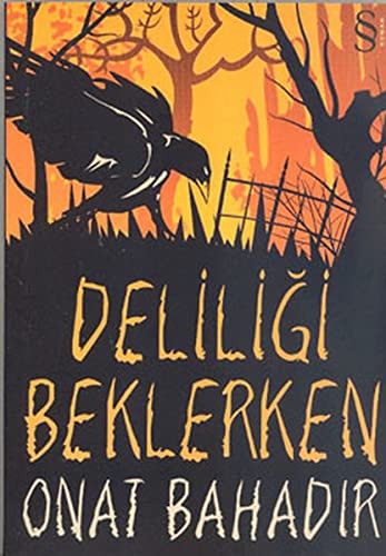 Deliliği Beklerken kitap kapağı