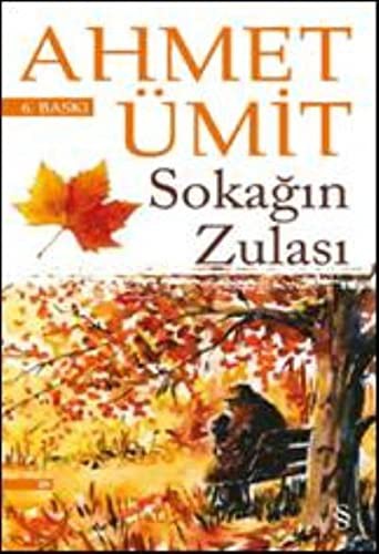 Sokagin Zulasi kitap kapağı